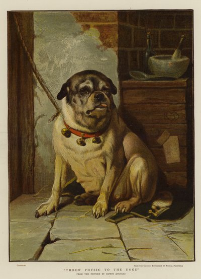 犬にフィジカルを投げる 作： Edwin Douglas